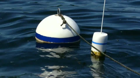 BUOY Stock Footage 179473879