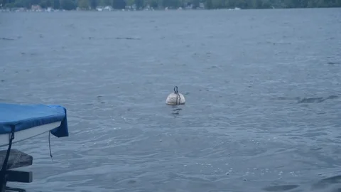 Buoy in lake Stock-Footage 79790103
