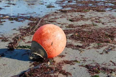 Buoy on the sand Foto stock