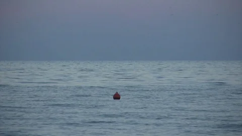 Buoy at Sea Video stock 91922456
