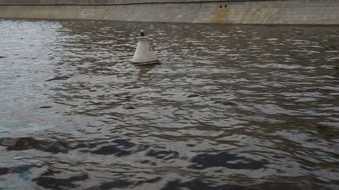 The buoy sways on the waves of the river 스톡 동영상 77764355