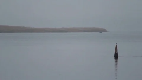  Buoy water Stock Footage 70019784