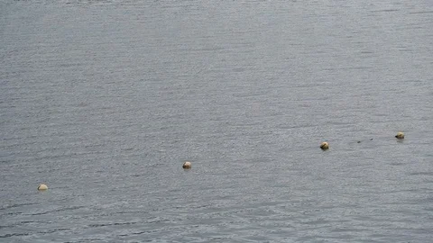 Buoy on the water surface Stock Footage 95674997