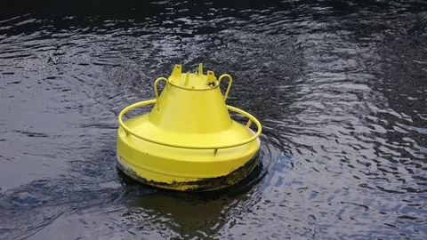 Buoy on the water surface on  river Stock Footage 76950652