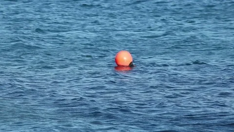 A buoy on waves Stock Footage 76968741
