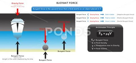 Buoyant Force Infographic Diagram for physics science education vector ...