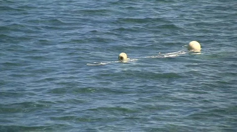 Buoys floating Stock Footage 628265