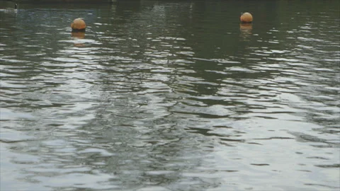 BUOYS ON LAKE Stock Footage 140817356