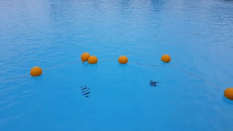 Buoys in the pool Stock Footage 108049494