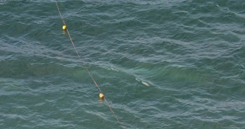Buoys With Rope In Sunlit Waves Stock-Footage 155128951
