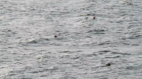 Buoys in the water Stock Footage 28699053