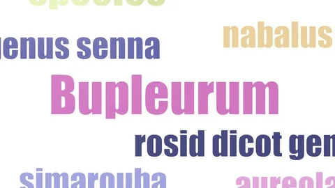 Bupleurum Tag Cloud Animated On White Background Vídeos de archivo 107210436
