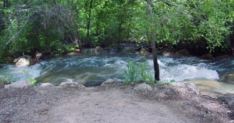 Burch Creek Filled with Spring Run Off 動画素材 243620482