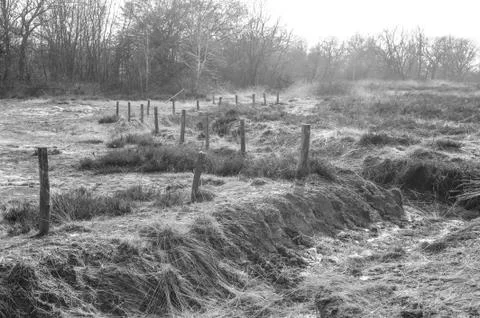 Burcina Park, Biella Stock Photos