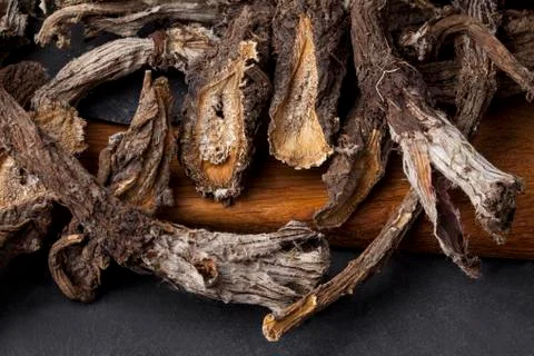 Burdock (Arctium) Stock Photos