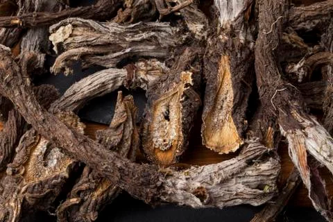 Burdock (Arctium) Stock Photos