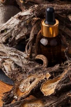 Burdock (Arctium) 스톡 사진