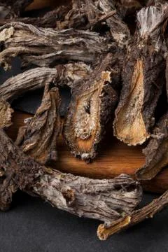 Burdock (Arctium) Photos