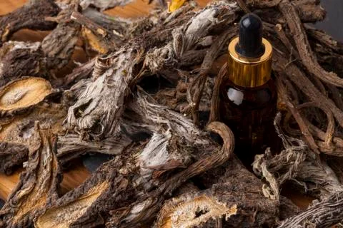 Burdock (Arctium) Stock Photos