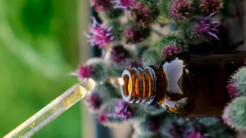 Burdock extract in a bottle. Selective focus. Stock Footage 289836334