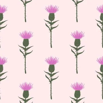 Burdock flower silouettes seamless pattern. Pink buds with green stems on lig Stock Illustration