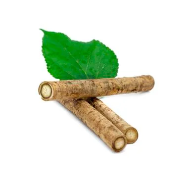 Burdock roots isolated on the white background. Stock Photos