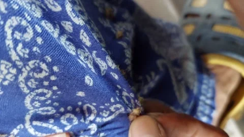 Burdock stuck to pants Stock Footage 266137554