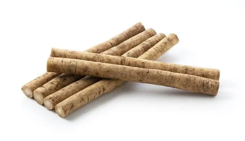 Burdock on a white background Stock Photos