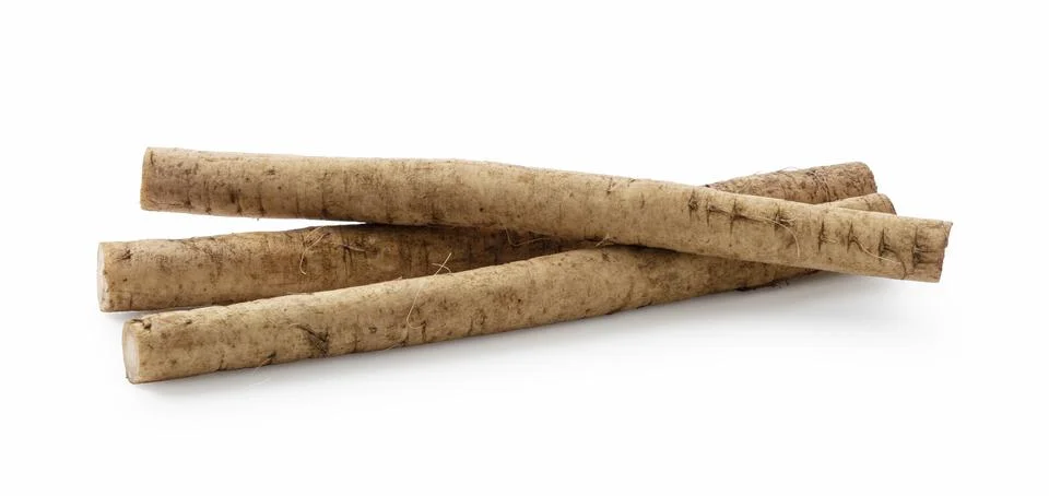 Burdock on a white background Stock Photos