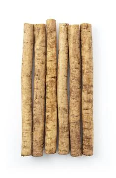 Burdock on a white background Stock Photos