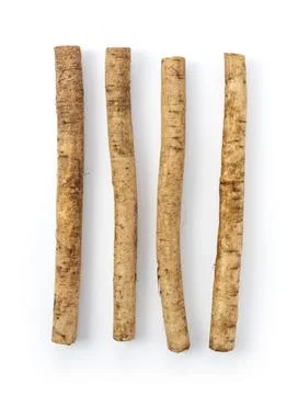 Burdock on a white background Stock Photos