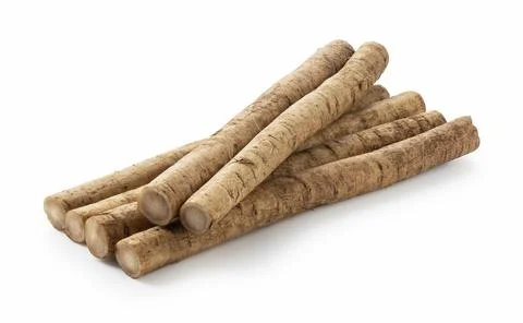 Burdock on a white background Stock Photos