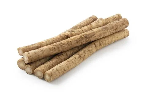 Burdock on a white background Stock Photos