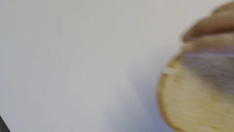 Burger 15 Video stock 99021137