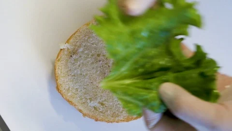 Burger 16 Stock Footage 99021178