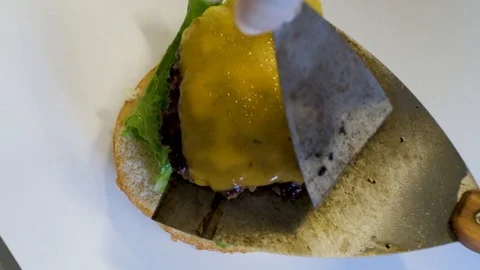 Burger 17 Video stock 99021208