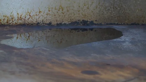 Burger 3 Stock Footage 99021390