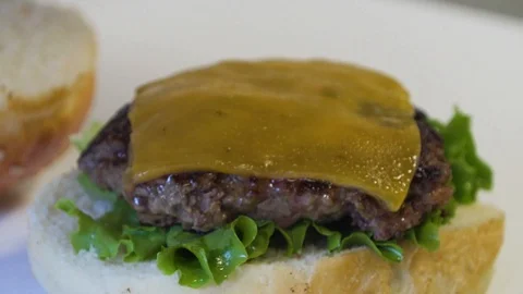 Burger 9 Video stock 99021845