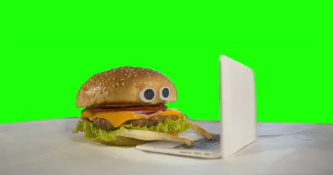 Burger animated character with eyes using laptop, notebook. Green screen Video stock 233183239