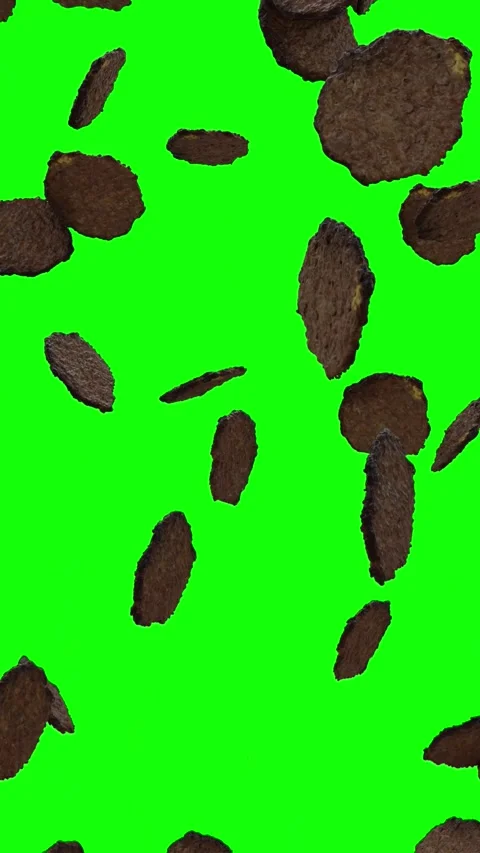 Burger Beef Patties Falling on Green Screen With Alpha Matte Stock Footage 327647754