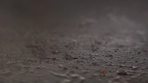 Burger being placed on hot cooking plate Video stock 128823822