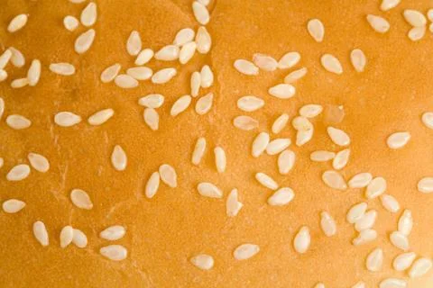 Burger Bread 스톡 사진