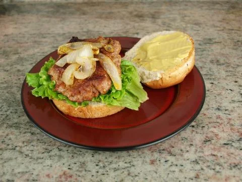 Burger on bun Stock Photos