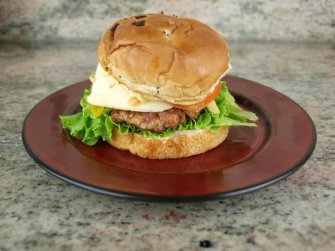 Burger on bun Stock Photos