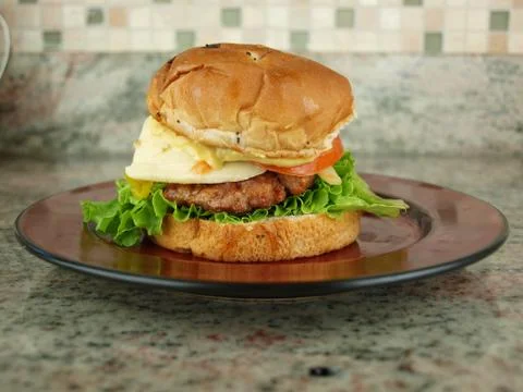 Burger on bun Stock Photos