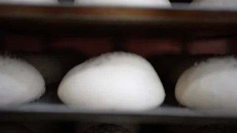 Burger buns on bread trays on a trolley for rising, slowly get out of focus 스톡 동영상 251370634