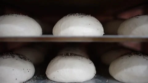 Burger buns on bread trays on a trolley for rising, slowmotion panning 스톡 동영상 251370719