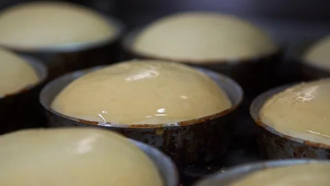 Burger Buns Preparation Process Stock Footage 120071269