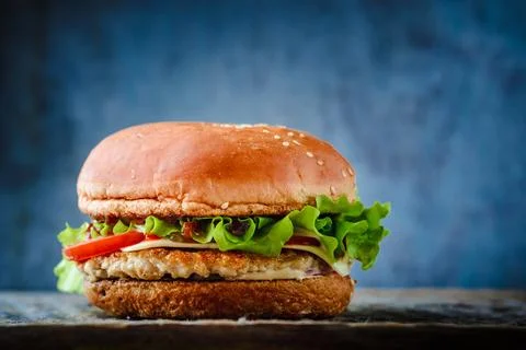 A burger of chicken on a blue background. Stock Photos