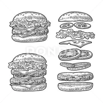 Burger with flying ingredients on white background. Vector black vintage Stock Illustration